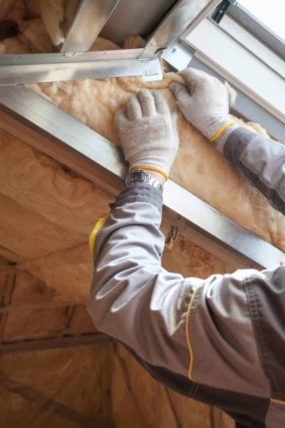 Best Attic Insulation Installation  in Huron, SD